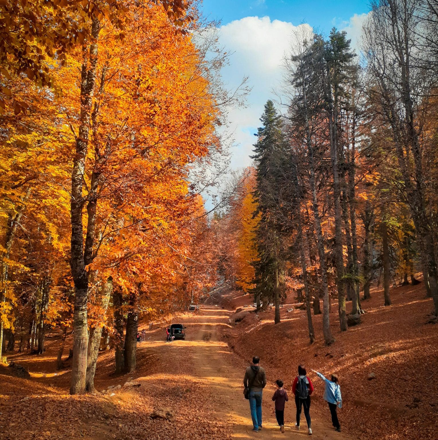 Autumn by Vacavia Cottages & Cabins