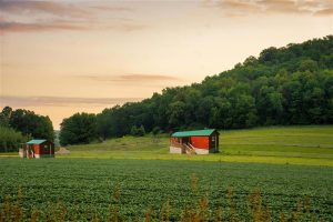 Vacavia Farm Photo