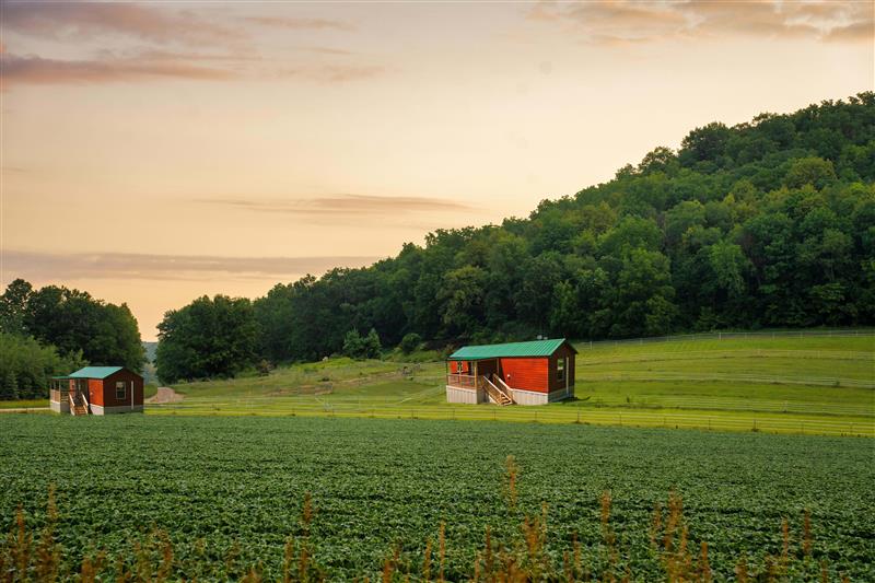Vacavia Farm Photo