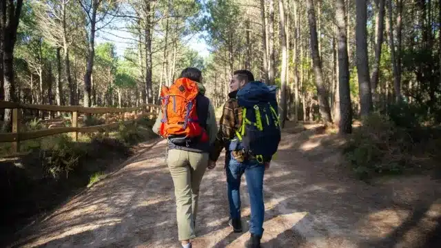 Cost vs Conscience: A Rise in Eco-Tourism