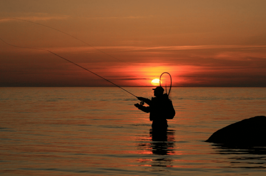 Recreational Fishing and Sustainable Fishing Tourism