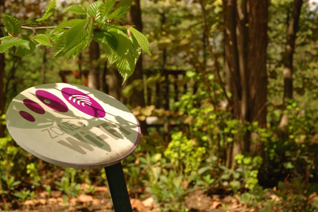 wi-fi forest