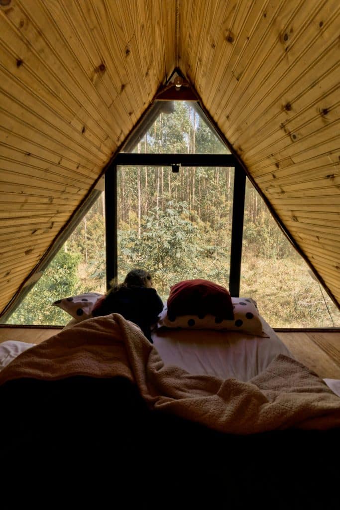 Vacavia Making the Off-Season Your New Priority